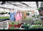 Joe (left) and Sandy Snavely of Holton are ready for the 2016 gardening season after taking over Holton Greenhouse last year. (Photo by Ali Holcomb)