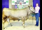 Karlie Albright (shown above at right) of the Hoyt Livewires showed the grand champion at the Jackson County Fair 4-H beef show, a home-raised steer that was also tops in its individual category. Shown with Albright is beef show judge Taylor Ohlde of Winchester.