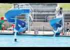 Kids visiting Holton’s municipal swimming pool recently made use of the two new slides that were installed earlier this summer. Holton Parks and Recreation Director Mike Reichle said he would like to see another, larger slide installed near the pool’s diving board at some point in the future. (Photo by Brian Sanders)